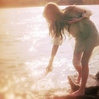 香料商郑和 的头像