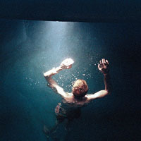 懒懒的周末 的头像