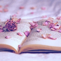 袋鼠博士 的头像