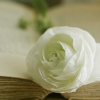 光脚不怕拖鞋 的头像